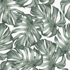 Pattern Flower Plant Leaf 