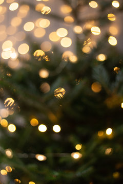 Blurred photo of Christmas tree shining with lights of garland