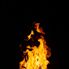 Fire on black background.