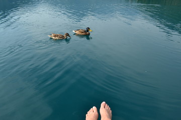 RELAX AL LAGO