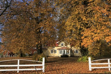 Fototapeta na wymiar charecteristic Scandinavian house in Sweden in colorful fall scenery