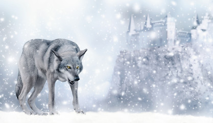 Portrait of fabulous grinning gray wolf (canis lupus) ready to attack on winter snow background with castle on mountain and snowflakes. Fantasy christmas card with snowy fairy tale landscape.