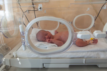 Premature newborn baby in the hospital incubator. Neonatal intensive care unit - obrazy, fototapety, plakaty