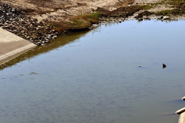 canal water run out fish sufferer