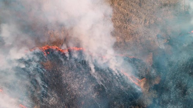 Strong fire in an empty field. Strong smoke from the burning place.
