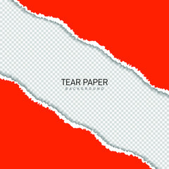 Tear paper background with blank space template design isolated. Vector illustration