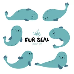 Tuinposter Fur seals set. Childish vector illustration in simple cartoon scandinavian style. © Світлана Харчук