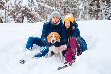 Fototapeta na wymiar loving couple playing with snow in cold weather. young couple walking a dog in a winter park. The guy and the girl are lying in the snow. Active winter holiday with beagle dog.