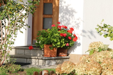 Fototapeta na wymiar Eingangsbereich, Blumenschmuck, Topfpflanzen, Geranien