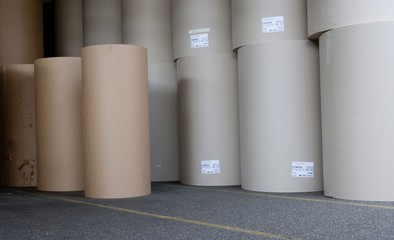 Corrugated cardboard industry. Paper industry