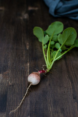 Minimal crop failure concept, organic vegetable, radish on rustic wooden background