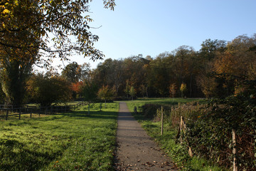 green autumn path with blue sky