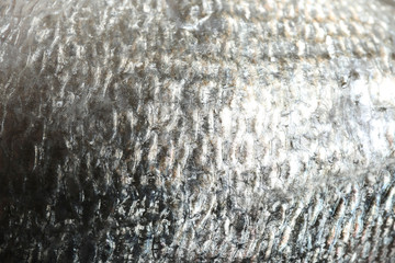 Raw dorada fish scale as background, closeup © New Africa