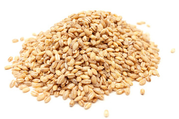 pearl barley closeup