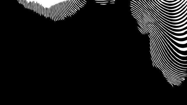 4K abstract background with moving white waves. Animation with abstract zebra pattern. Movie with monochrome glitch effect. Pattern with black and white colors.
