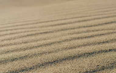 Grains of sand on the surface of a sand dune, close-up (macro)