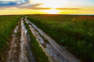 Fototapeta na wymiar Landscape with rut road in steppe