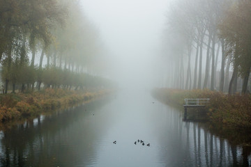 a foggy morning along the water in Damme, Bruges. Belgium