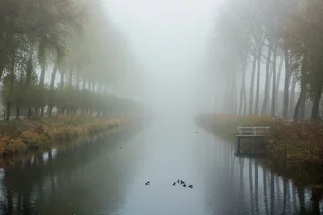 Foto auf Leinwand a foggy morning along the water in Damme, Bruges. Belgium © krist