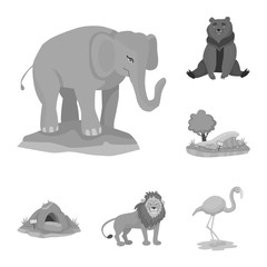 Vector illustration of zoo and park sign. Set of zoo and animal stock vector illustration.