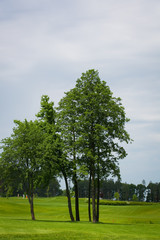 lush fairway in the foreground contrast in the distance at a gol