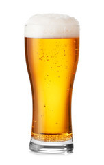 Glass of fresh beer on white background