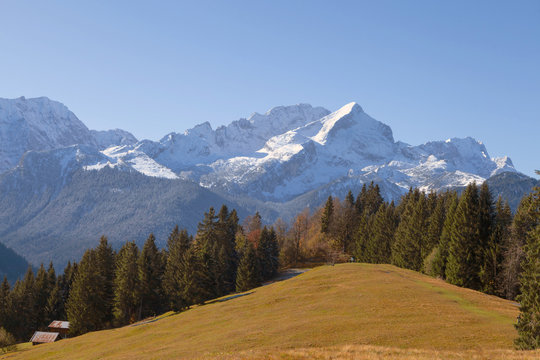 Verschneite Bergspitze im Hintergrund und im Vordergrund eine Almwiese mit verf&auml;rbten B&auml;umen im Sp&auml;therbst.