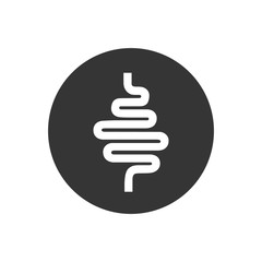 Intestinal tract white icon on gray. Vector in flat style