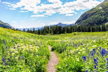 Foto op Canvas Open landschapsmening van de groene weide met wilde bloemen en het voetpad naar het ijsmeer bij Silverton, Colorado in de zomer van augustus 2019 © Kristina Blokhin