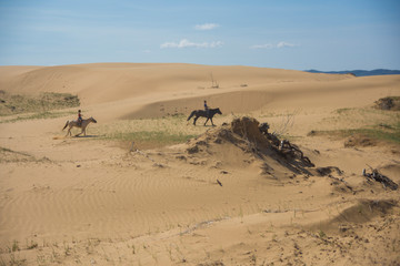 Fototapeta na wymiar Horse rider in Sand dune desert in mongolia
