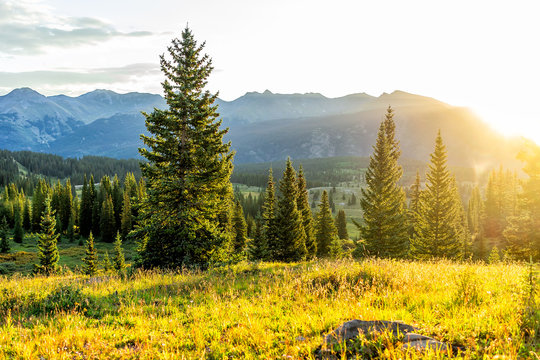Sunrise sunlight landscape view of San Juan mountains in Silverton, Colorado in 2019 summer morning with meadow valley and spruce trees forest