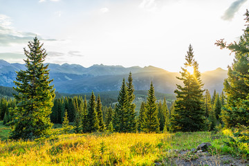 Sunrise sunlight sunburst through tree in San Juan mountains in Silverton, Colorado in 2019 summer morning with forest landscape view - obrazy, fototapety, plakaty