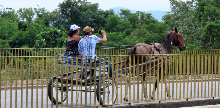 Man making selfie for photo on a horse cart with a woman
