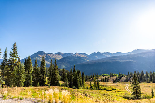 Green pine forest trees meadow wide angle view and sun in blue sky from Colorado highway scenic road 550 San Juan rocky mountains near Silverton in autumn