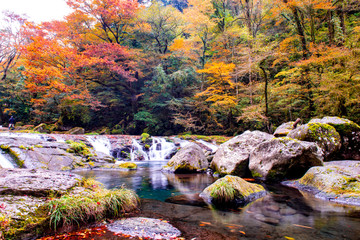 菊池渓谷の紅葉