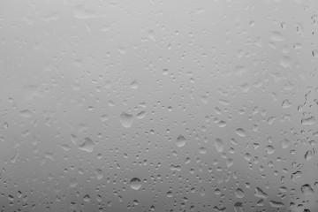 Water drops on light background, closeup view