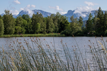 am Schwaltenweiher