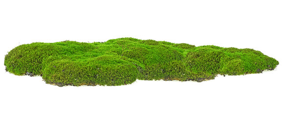 Green mossy hill isolated on a white background. Full depth of field.