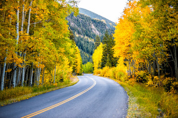 Naklejka na ściany i meble Colorado rocky mountains paved road trip with foliage in autumn fall on trees on Castle Creek scenic road with colorful yellow orange leaves