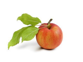 Оust ripped off red apple with natural two leaves isolated on white background