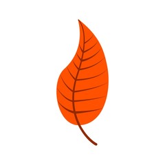 Autumn leave orange color simple illustration. Autumn leaf icon in flat style on white background vector