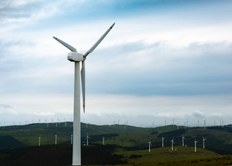 Wind turbines in the field