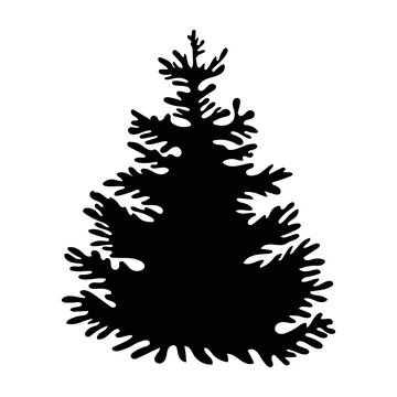 Black spruce in beautiful style on white background. Vector illustration isolated background. Vector nature illustration. Tree decoration. Decorative pine spruce tree. Silhouette symbol.