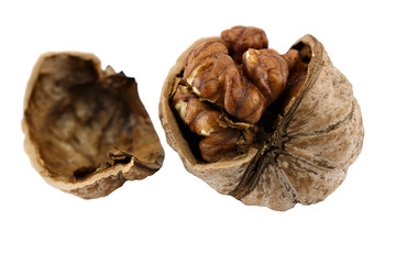 walnut close-up macro high resolution isolated on white background