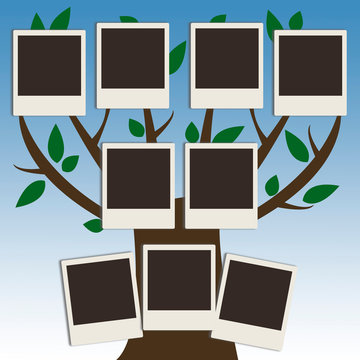 family tree frame