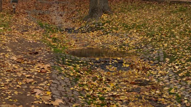 Creek in a park, Segmenler Parki, Ankara, Turkey