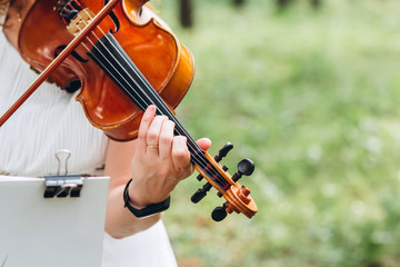 Fototapeta premium female musician performs at an outdoor wedding. Curl with the neck of the violin closeup. The actor performs at a party. musical instrument. Hands of a violinist close-up.