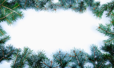 Image of branch of Christmas tree against white background. Horizontal image.