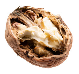 broken walnut isolated on a white background