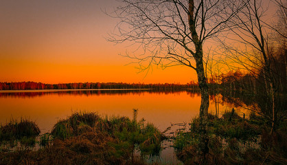 Fototapeta na wymiar Swamp sunset landscape lake Lithuania Joniskis district Musos tyrelis
